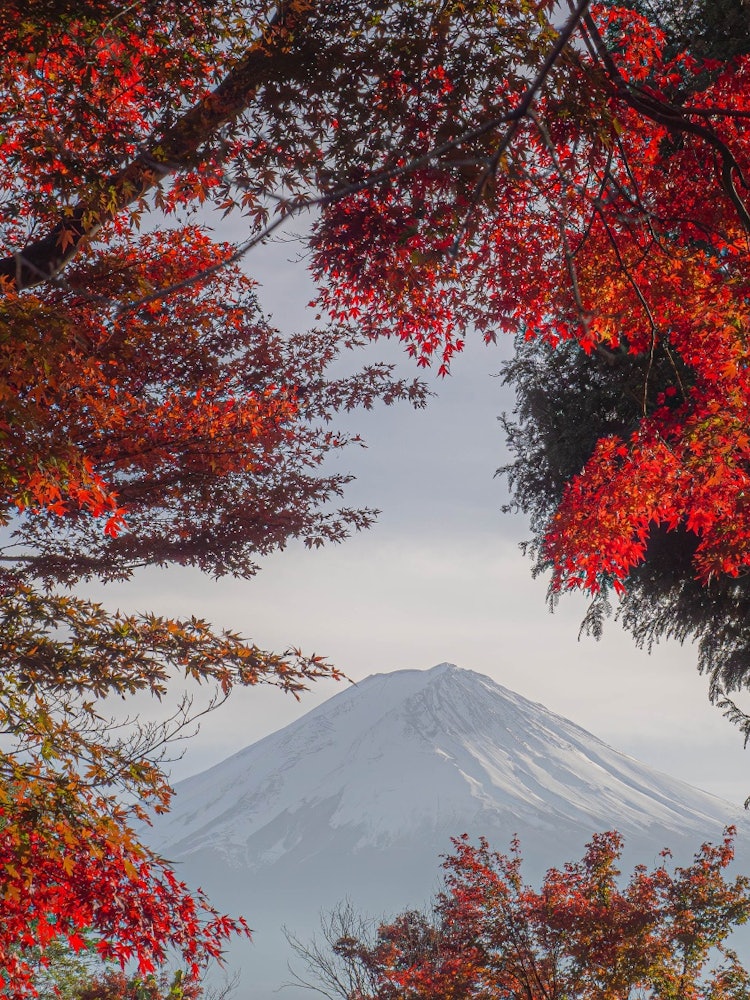 [Image1]It is a relief to see Mt. Fuji.In addition, during the autumn season, you can see the competition be