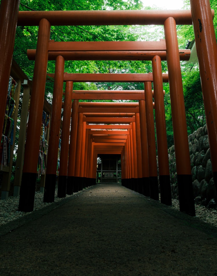 [相片1]在靜岡縣穗山宗榮寺拍攝的紅色鳥居（神社大門） ⛩️天氣多雲，但黑暗增加了寂靜一路上，我們有了擁有150多年歷史的團子