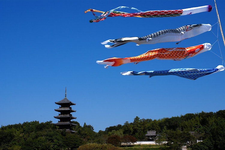[画像1]岡山県総社市の備中国分寺。 五月晴れの空を泳ぐ鯉のぼりと吉備路のシンボル五重塔のコラボレーションも楽しめます。