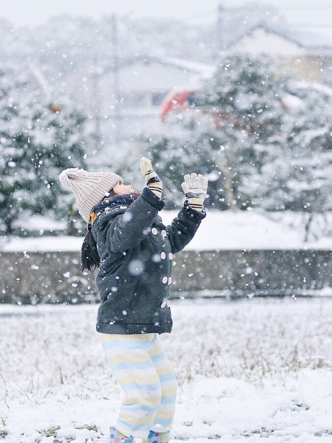[相片1]又下雪了一個似乎在玩雪的女兒，雪在九州很少積累。