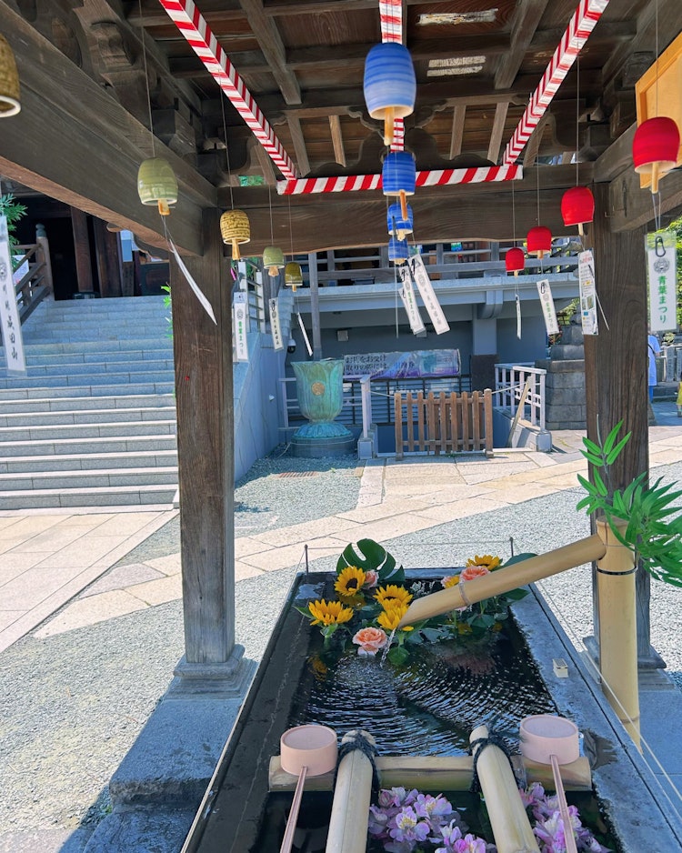 [画像1]24年6月8日撮影。成田山川越別院の花手水と風鈴です。