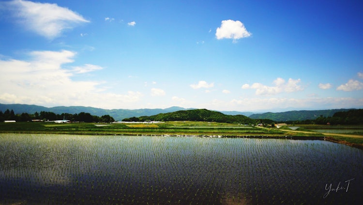 [이미지1]이른 묘목이 봄바람에 펄럭입니다신슈의 시골 풍경.
