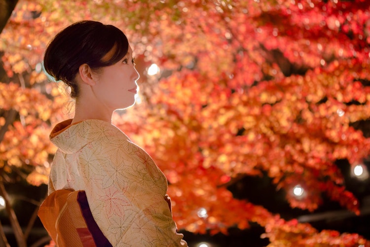 [相片1]它是广岛市的缩景园。在红叶期间，它在晚上被点亮。