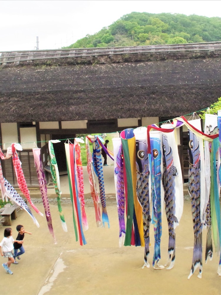 [相片1]横滨市鹤见区的横见屋，鲤鱼飘带在儿童节那天装饰得很漂亮，儿子很高兴。