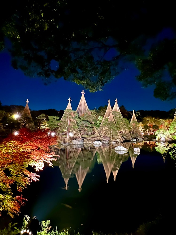 [相片1]这是一张爱知县名古屋市白鸟花园的红叶照灯照片。这张照片拍摄于 2022/11/25。雪挂就像一棵圣诞树，非常漂亮。