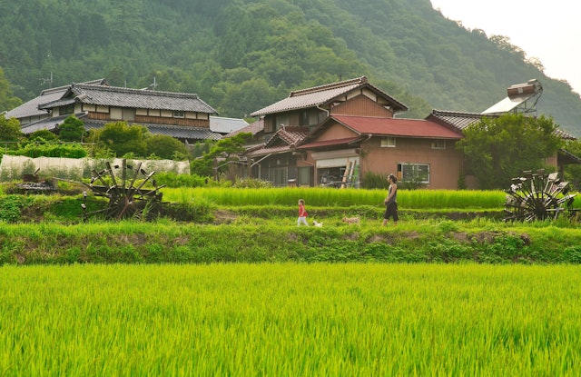 [画像1]兵庫県神河町新野の水車ここに来ると何故か落ちつき水の流れや清流に咲く梅花藻だったり水も凄く綺麗です😌
