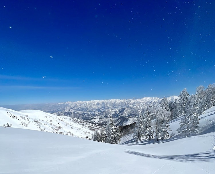 [相片1]这是在新泻神乐拍摄的一张照片。天空晴朗郁郁葱葱，粉状的雪和淡淡的云彩就像夜空中闪耀的星星。当天空如此深邃和蓝色时，您可以在地面上感受到宇宙。