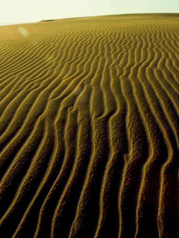 [画像1]鳥取県の鳥取砂丘は日本最大級の砂丘、乾燥した季節に風が吹いた後には美しい風紋ができ、見る人を感動させてくれます。