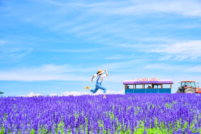 [画像1]友達と夏に北海道旅行に行った時の写真。 青空に広がる綺麗なラベンダー畑に、大ジャンプする友達💓全てが、『元気』をくれる1枚です☺︎