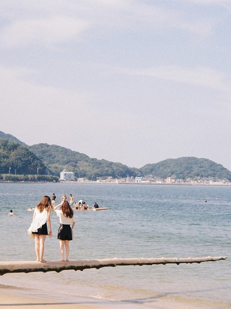 [이미지1]후쿠오카 여행을 갔을 때 찍은 사진입니다.이토시마 해안을 걷고 있을 때, 사람이 타도 부러지지 않는 나무가 있었습니다.어울리는 복장으로 온 학생은 매우 귀여워서 사진을 찍었을 뿐이