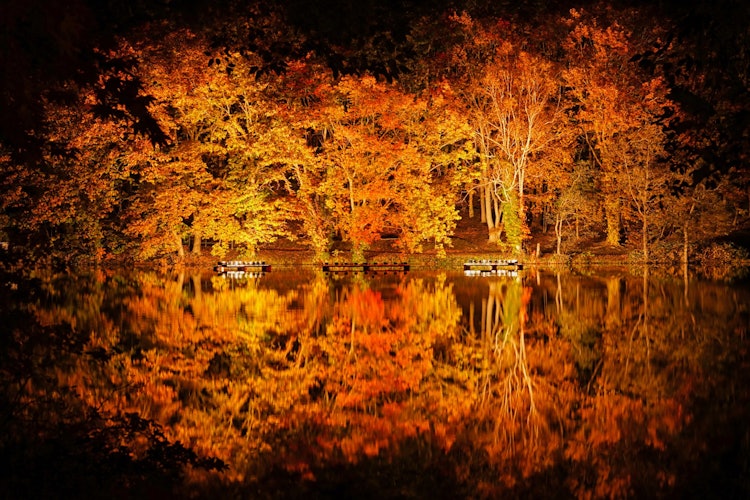 [画像1]北海道「八郎沼公園」秋になるとライトアップが行われており、きれいなオレンジ色が水面に反射して幻想的です。 三脚おっ立てて、長秒露光で低ISO感度で撮影しました。