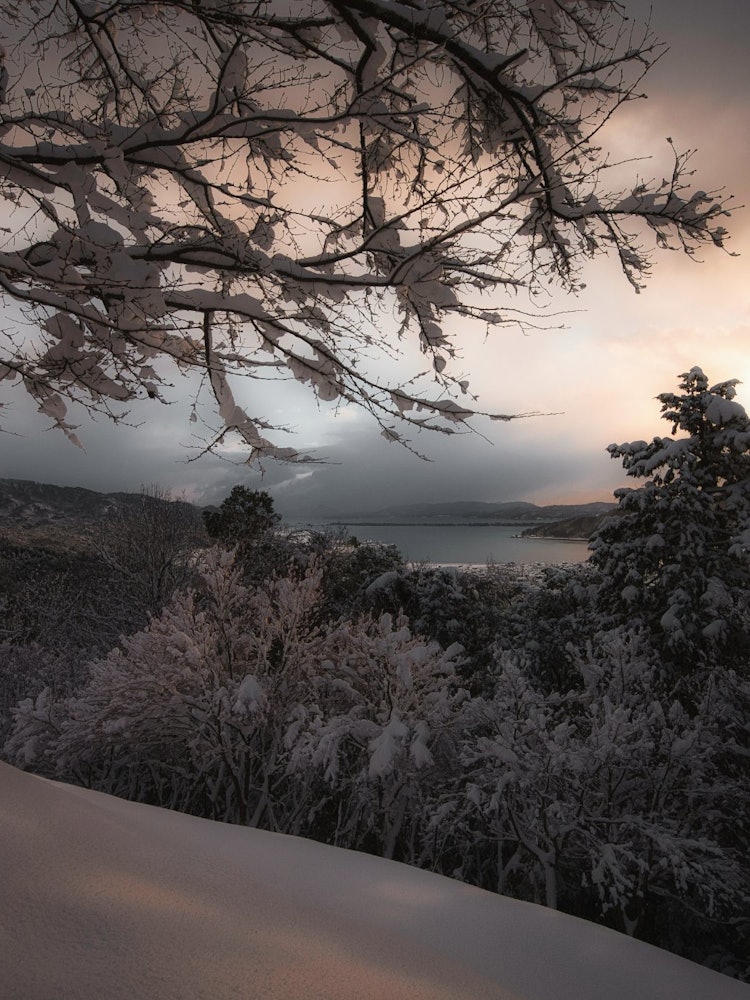 [Image1]I photographed Amanohashidate, one of the three views of the Japan, snow and the rising sun.It was t