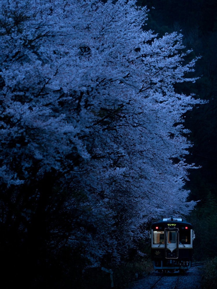 [画像1]桜で有名な「わたらせ渓谷鐵道」中野駅付近の日没後の様子です。群馬県みどり市