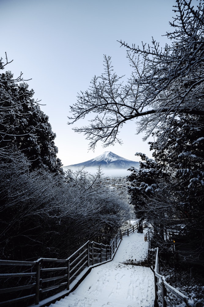 [相片1]清晨的新仓山浅间神社。雪后富士山很美。