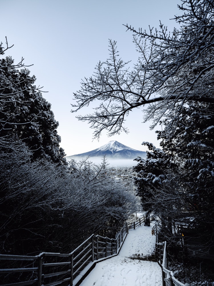 [Image1]Niikurayama Sengen Shrine in the early morning.Mt. Fuji is beautiful after snowfall.
