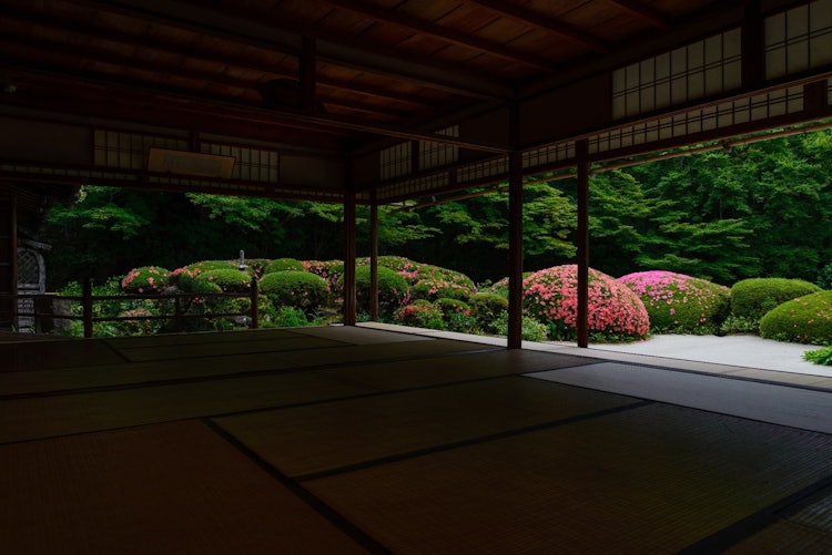 [Image1]When I visited Kyoto on a business trip, I happened to have half a day free, so I visited Shisendo, 