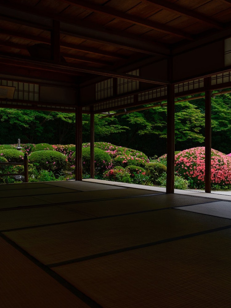 [相片1]當我出差訪問京都時，我恰好有半天的空閒時間，所以我參觀了離我住宿最近的Shisendo。那是一個工作日，天氣在雨後，所以幾乎是保留的。一個充滿寧靜的花園，讓你想坐幾個小時。當科羅納結束時，我想和我的家