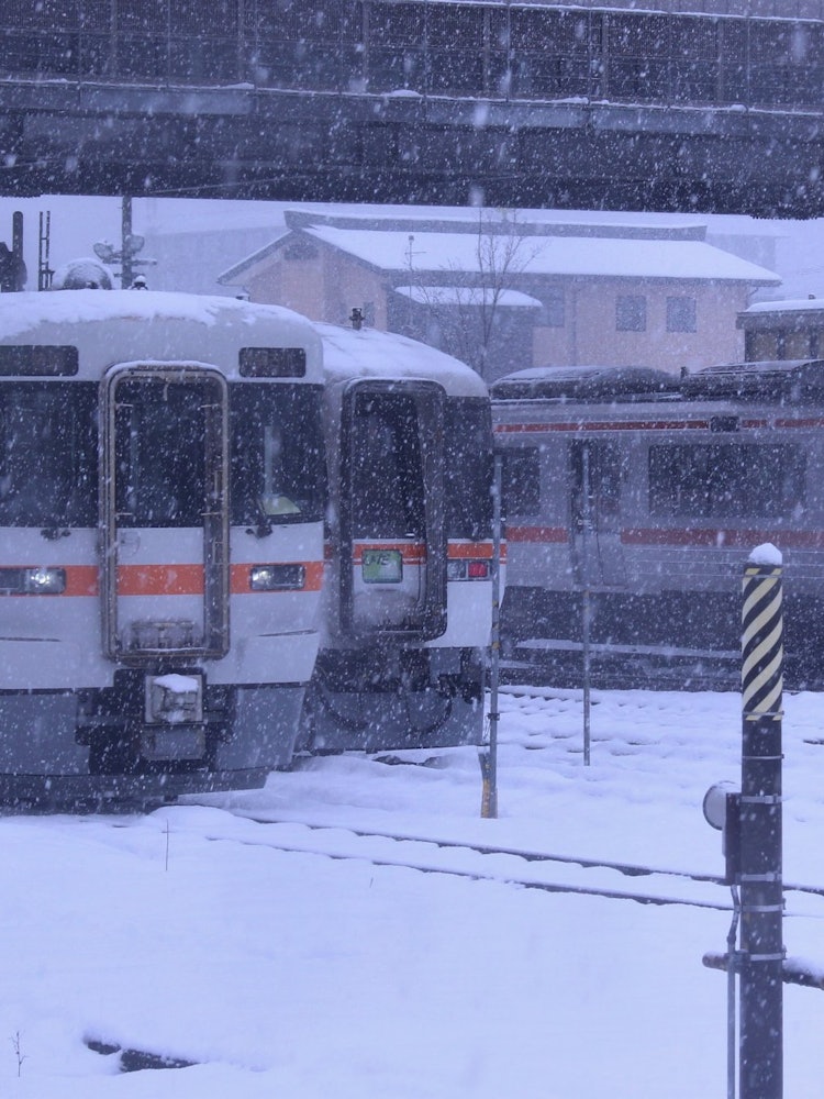 [相片1]新年快樂！2021年底，下雪太多，火車停運。然而，我遇到了這樣一個抒情的景觀。我很幸運！