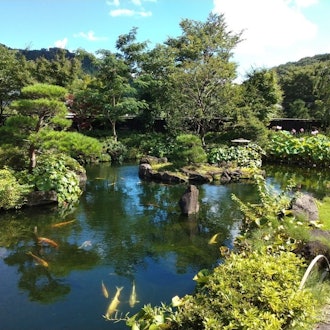 [이미지1][영어/일본어]다카오 고마키노 정원은 학교가 위치한 니시하치오지 역 옆 역인 다카오역에서 도보로 15분 거리에 있습니다. 방문객들은 가레산수이(건식 조경 정원)와 같은 일본 전통 
