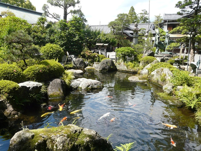 [画像1]大井神社は大井川の水神様、その境内には澄んだ水を湛える神池があり、境内に昔からある井戸の清らかな水が流れ込んでいます。 一年中水温がほぼ一定なので夏は冷たく冬は温かく感じるほどです。境内に初めて池が出