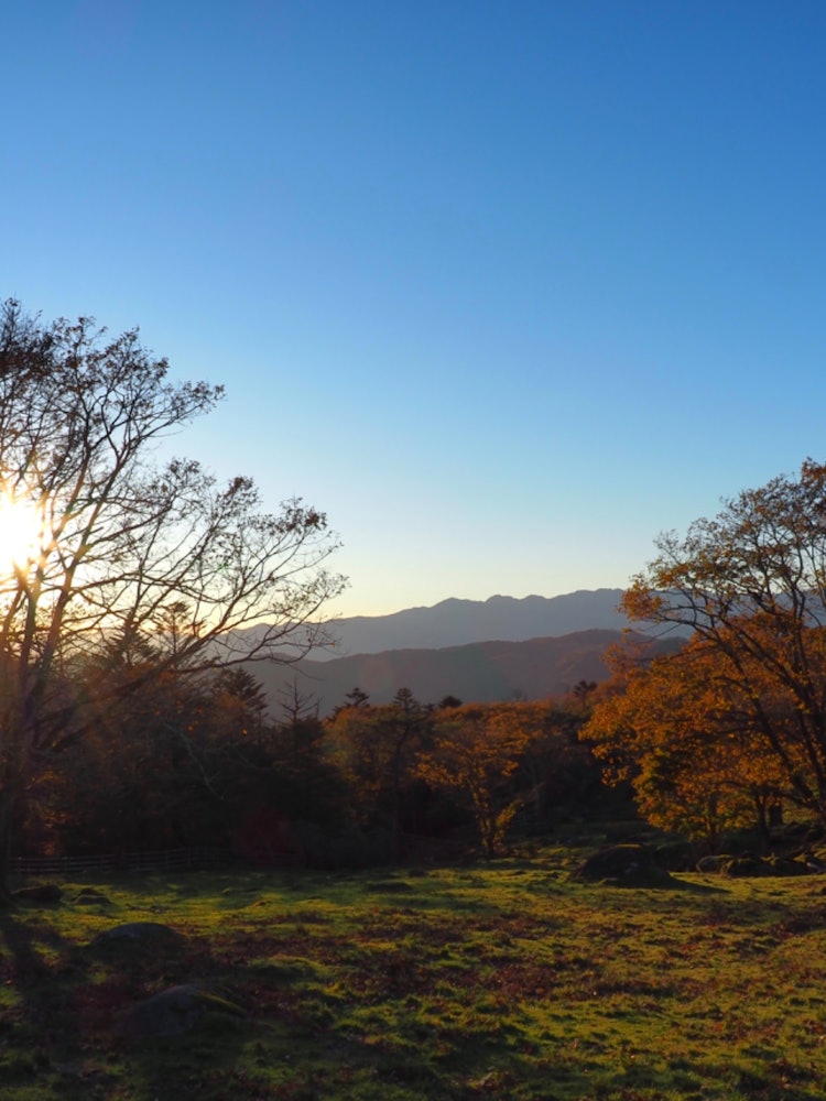 [画像1]栃木県鹿沼市　前日光牧場牧場の端から群馬県方面に向かって夕陽を撮影しました。下草の緑と陽に透かされた木々の葉との色彩に秋を感じる風景となってました。ココは自然以外何も有りませんが、絶景穴場だと思います