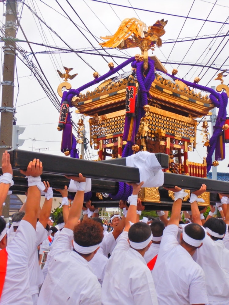 [Image1]〜The Meaning of Gyotoku Mikoshi Firs〜(2)This photo is called 