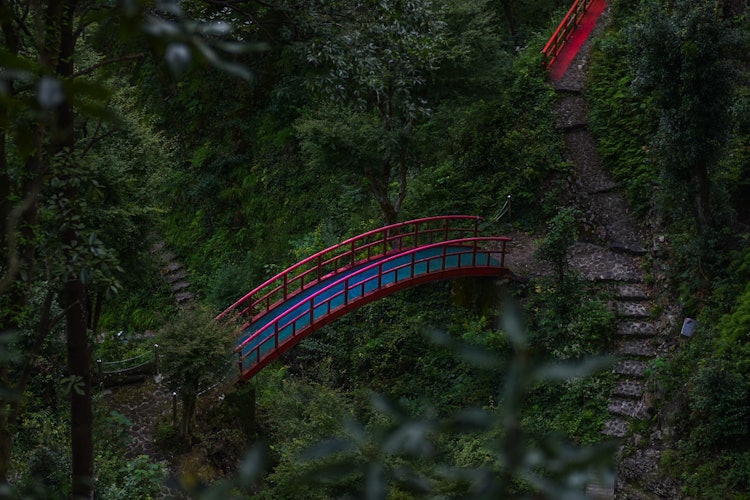 [相片1]◽️ 五寶瀑布紅橋 ◽️深綠色山中間的紅橋 ✨紅色和綠色之間的對比非常有效，並且有一種🌟奇怪的存在。陷入✨吉卜力世界觀