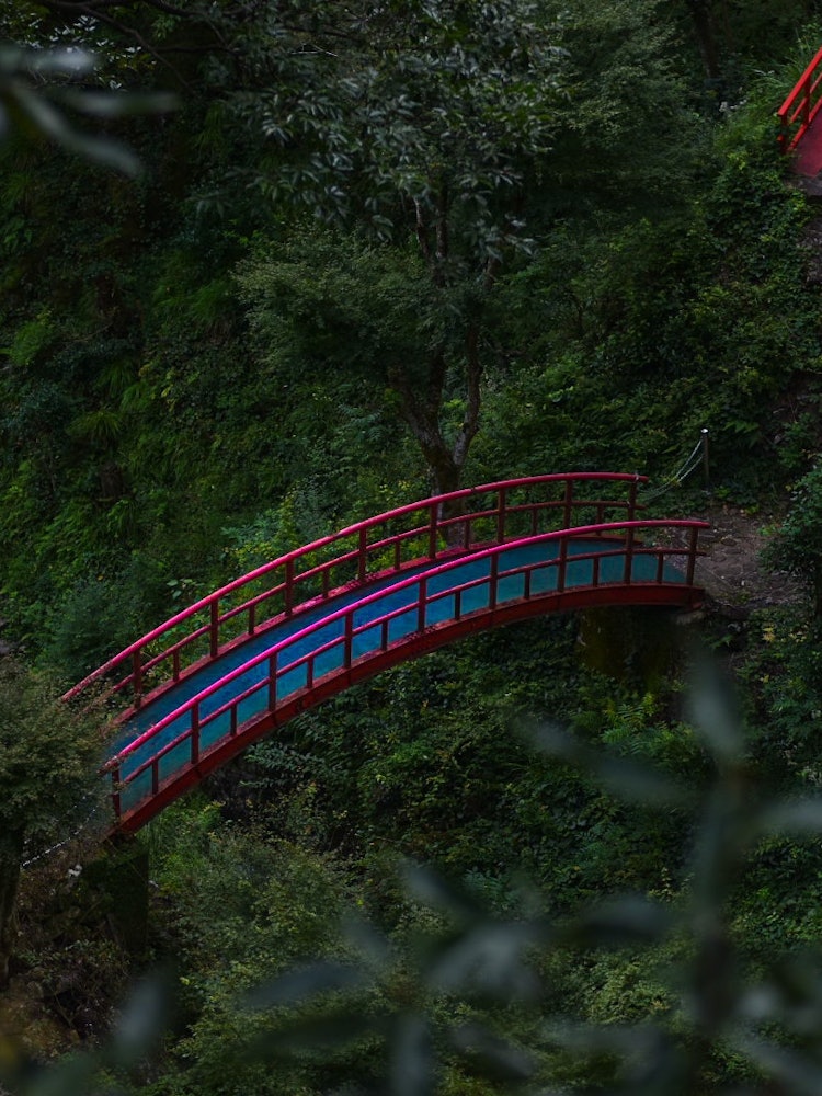 [Image1]◽️ Five Treasures Falls Red Bridge ◽️A red bridge ✨ in the middle of a deep green mountainThe contra