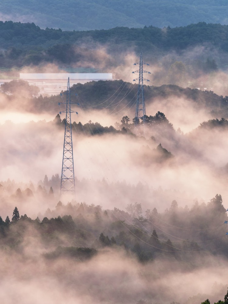 [画像1]茨城県常陸大宮市三王山自然公園雲海に浮かび上がる鉄塔が印象的