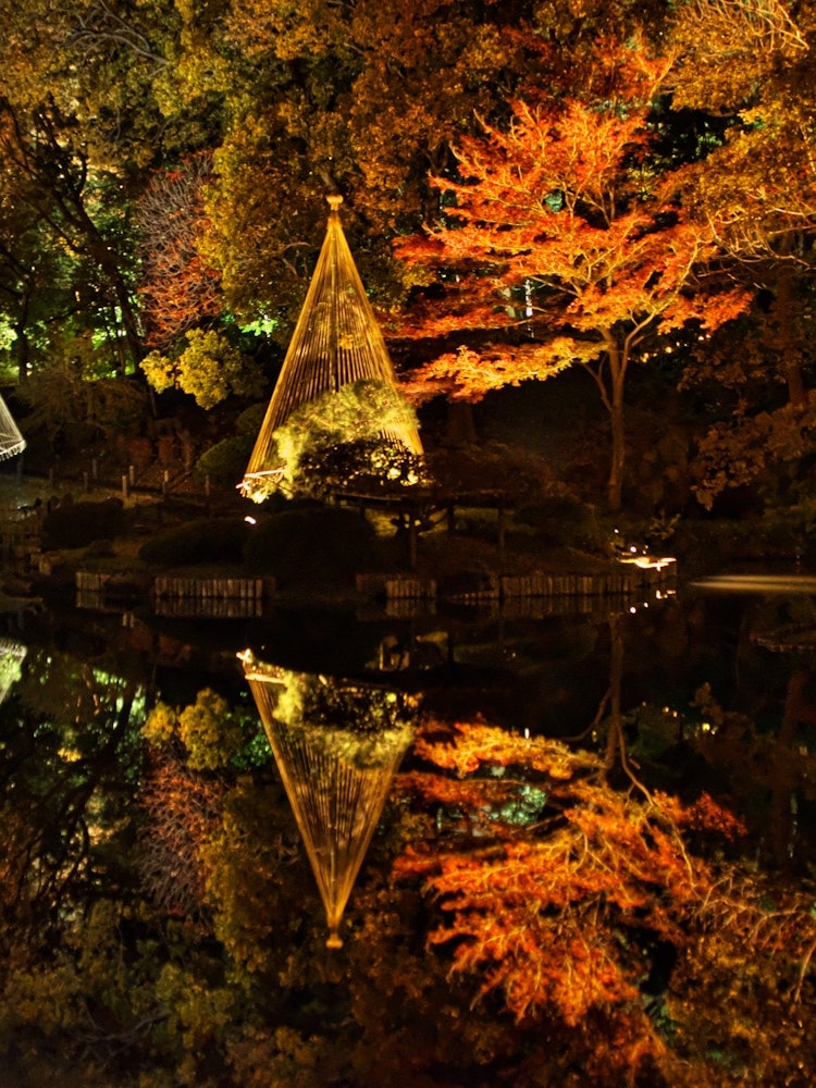 [Image1]Autumn leaves ~The beauty of Higo Hosokawa Garden~
