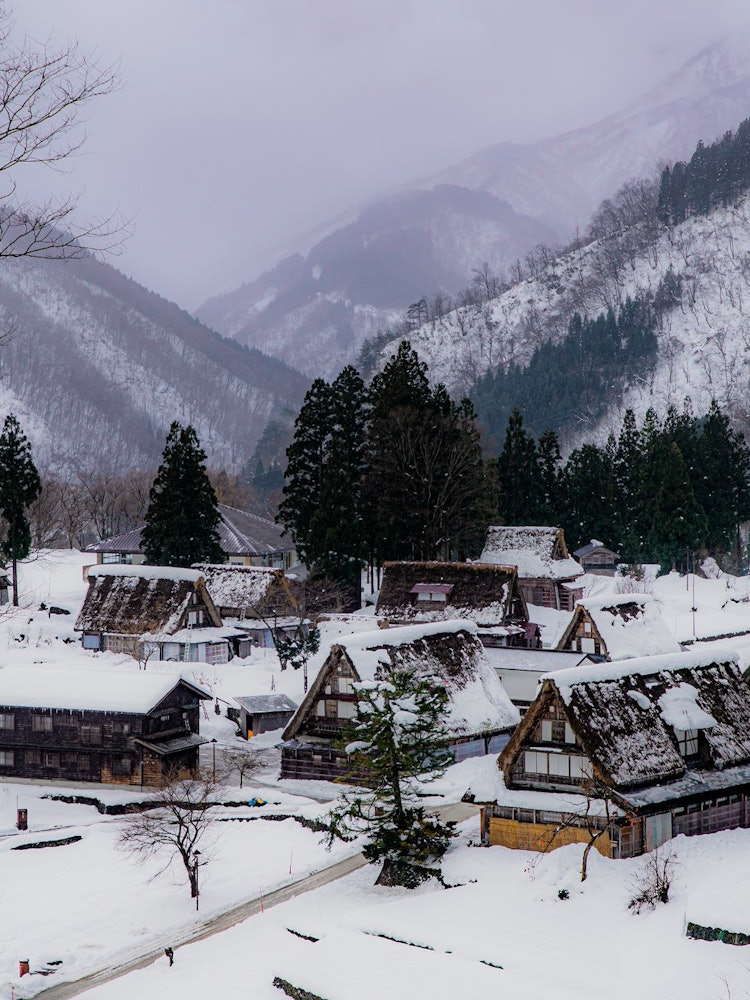 [Image1]Winter in JapanWorld Heritage GokayamaIn Toyama2021.12.30