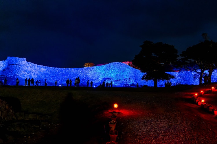 [Image1]World Heritage Site Nakijin Castle Ruins Wall Illumination / Nakijin Gusuku Cherry Blossom Festival 