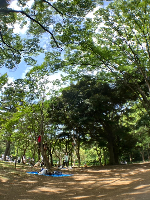 [Image1]In Tokyo.Yesterday I did yoga 🧘 ♀️ in Yoyogi Park! It's my first time there, but it's spacious and f