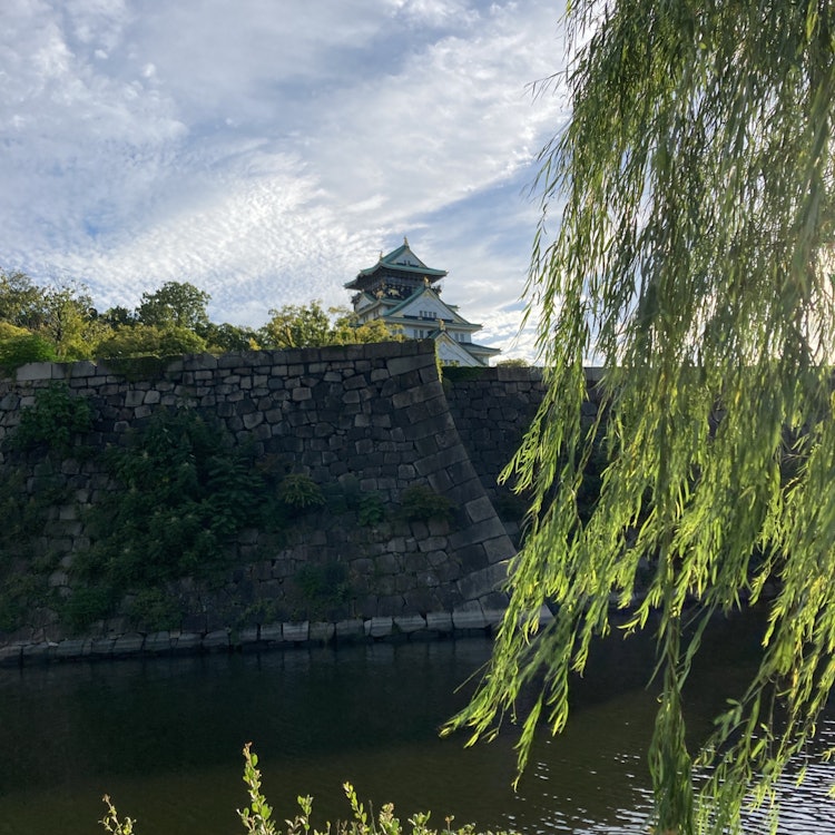 [Image1]Osaka Castle 🏯✨I walked quite a bit and exercised 🚶 ♀️
