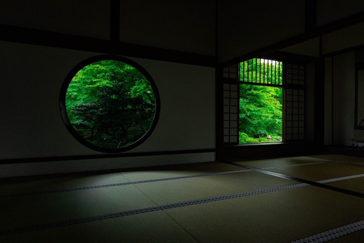 [相片1]📸 在新鲜的绿色植物季节这是京都府的“Genkoan”圆窗和新鲜绿色植物的结合还可以 🤤一年四季都值得一看，所以一定要去看看！地点： 京都