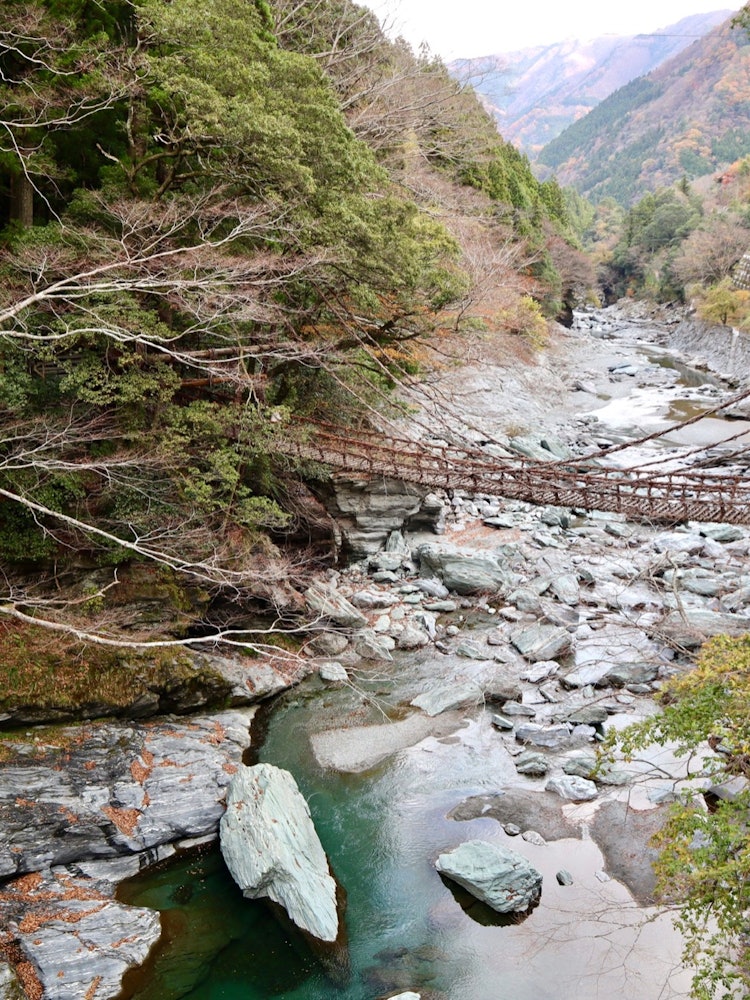 [相片1]德岛县三好市的“祖谷一郎桥”。