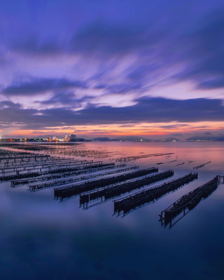 [相片1]广岛廿日市（广岛的推荐景点）#地狱前海岸 👈📸 黎明时分的一块在地球面前牡蛎架和濑户内海风景如画。