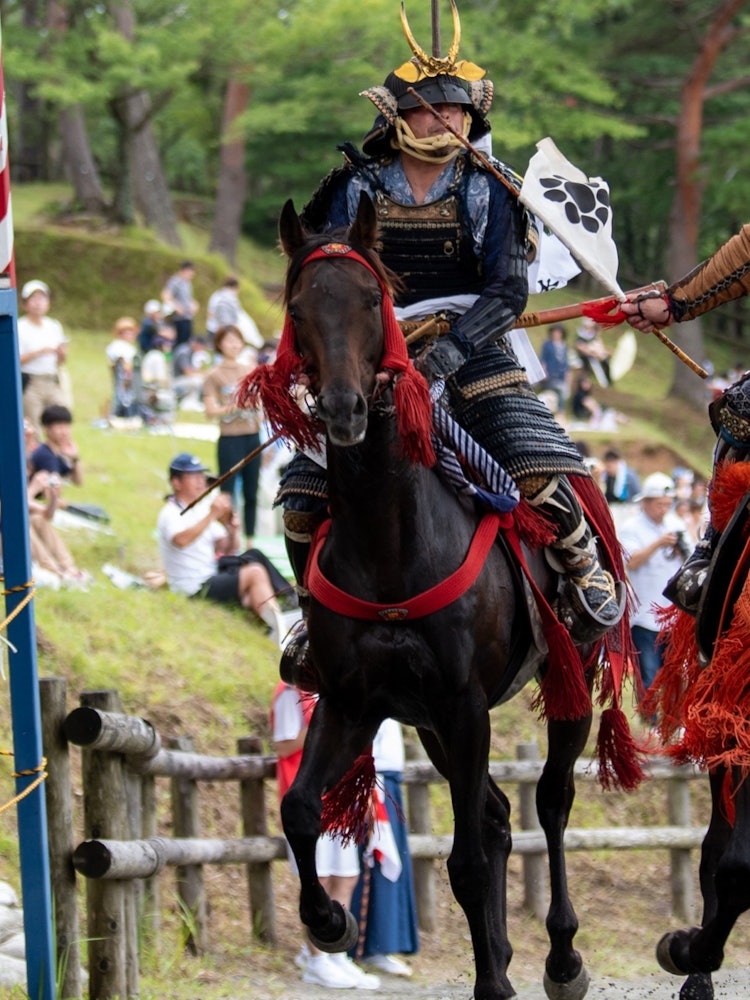 [画像1]福島県相馬地方で7月に開催される相馬野馬追。人も馬も気が荒ぶっているので迫力があります。