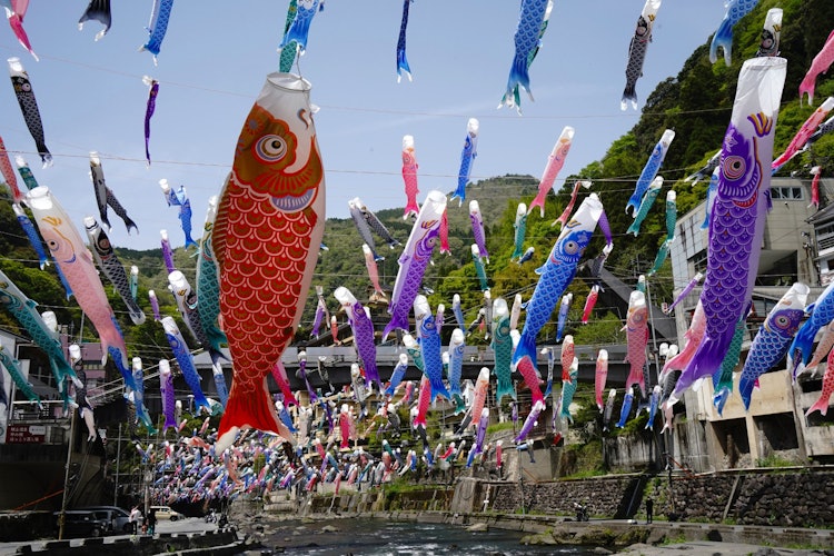 [画像1]熊本県阿蘇郡小国町の「杖立温泉鯉のぼり祭り」です。数えきれない鯉のぼりが、５月の爽やかな風の中で元気に泳ぐ様は圧巻です。