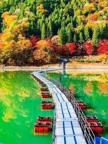 [Image1]It is the autumn leaves of Lake Okutama.The contrast between green and orange is beautiful.