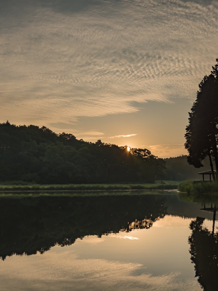 [Image1]Sunrise in Ryuogafuchi, Nara.