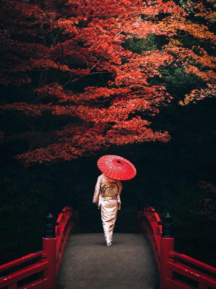 [Image1]Autumn leaves 🍁 of Oguni Shrine