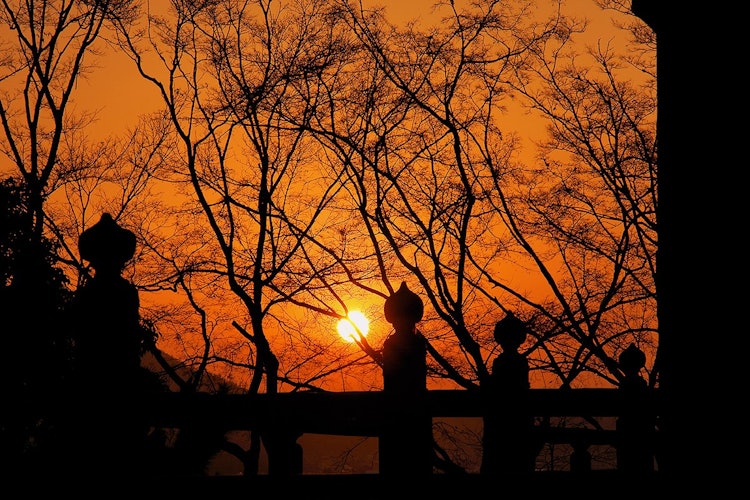 [相片1]冈山县宗子市的备中分寺。 吉备寺的日落，五重塔和落叶树之间的合作也很美丽。