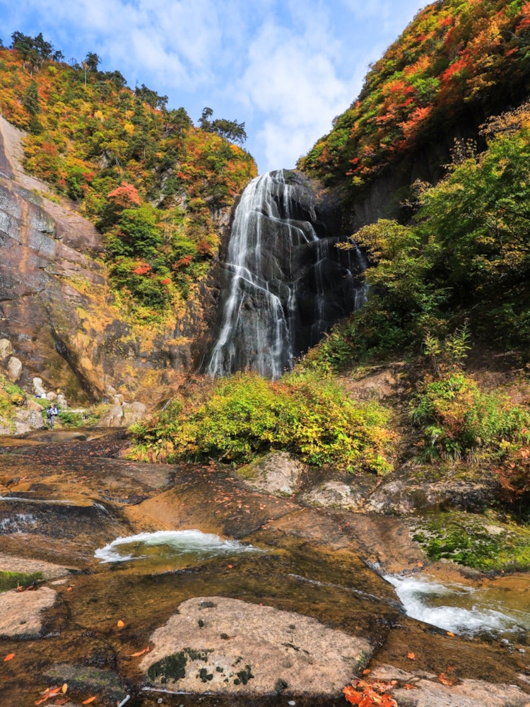 [Image1]It is Yasunotaki Falls in Kitaakita City, Akita Prefecture. The Nakanomata Valley, where this waterf