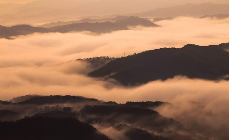 [Image1]Mt. Raihi, Toyooka City, Hyogo PrefectureThis place is also famous for its sea of clouds, but a supe