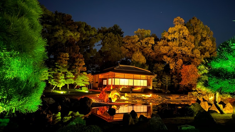 [相片1]在京都的二条城，这是一个清澈的溪流花园，灯火通明。 我被一个奇妙的世界所吸引。