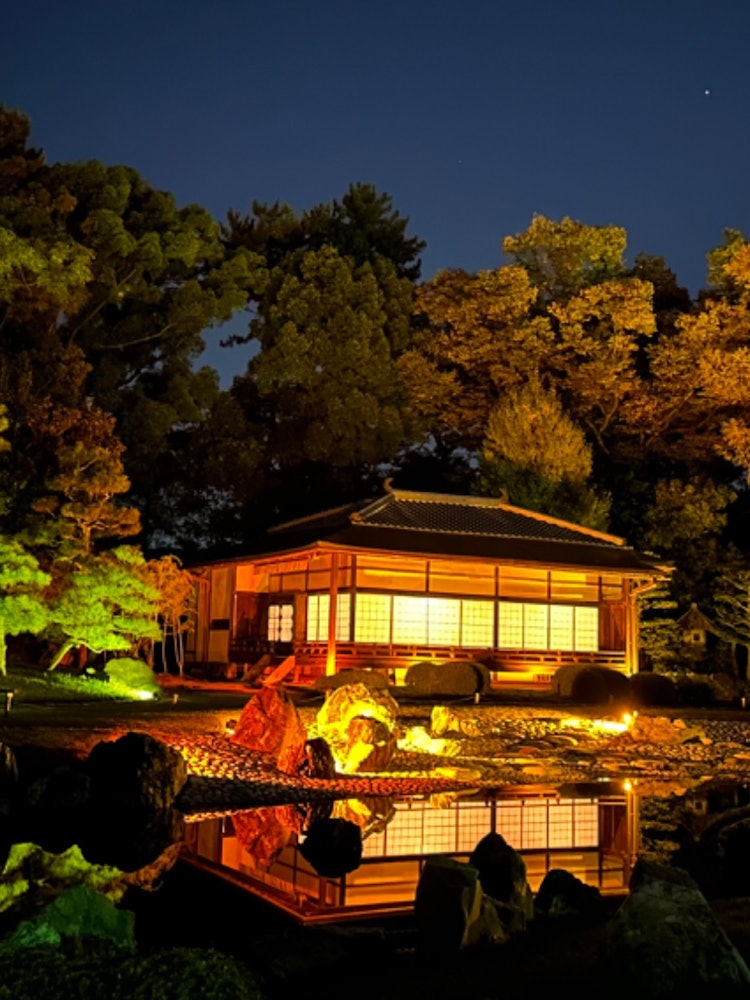 [Image1]At Nijo Castle in Kyoto, it is a clear stream garden lit up. I was drawn into a fantastic world.