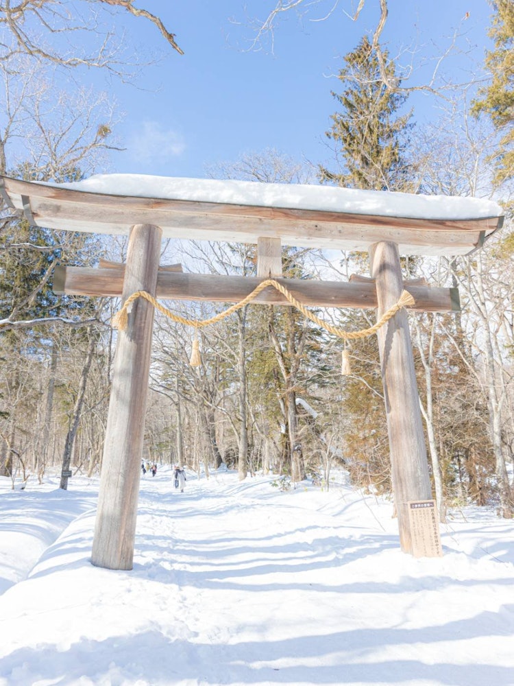 [画像1]雪に包まれる鳥居こちらは、長野県戸隠神社の鳥居です。 雪の時期には、このように参道が雪一色になります。 天気もよく反射がより一層美しさを際立たせてくれました😆