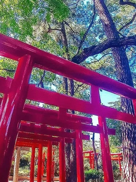 [Image1]Location:Kurashiki Shiroyama Inari Daimyojin⁡⁡Mr. ⛩️✨ Inari found by chance near Ivy SquareThe brigh