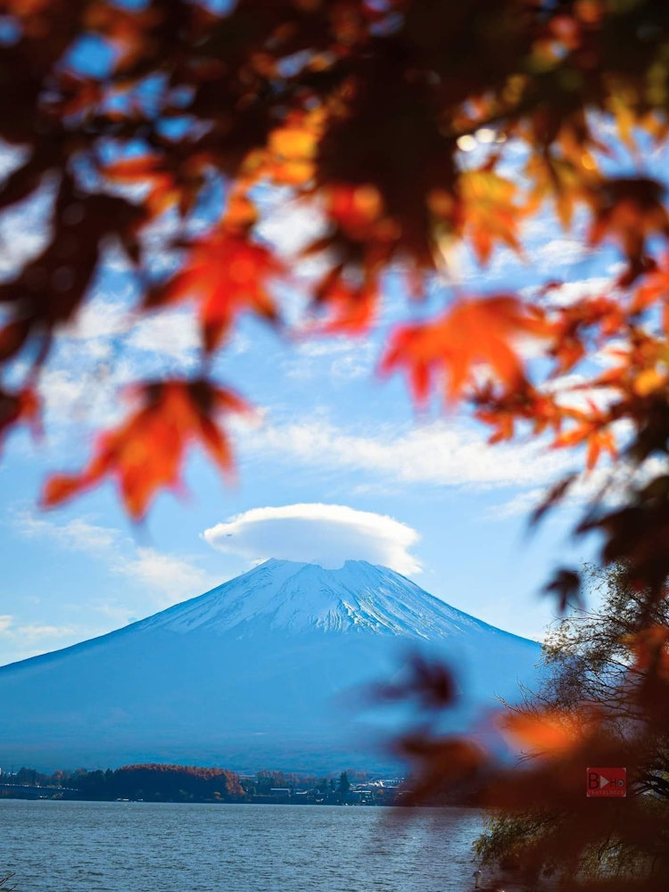 [画像1]富士山が見える場所は、職場でも、自宅の屋上でも、観光地でも、絵のように思えます。河口湖には何度も訪れましたが、忘れられない旅でした。この美しい晴れた秋の朝、私は初めて富士山の上にレンズ状の雲を見ました